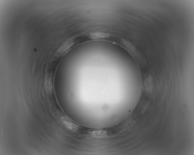 X0000081280426200701181748