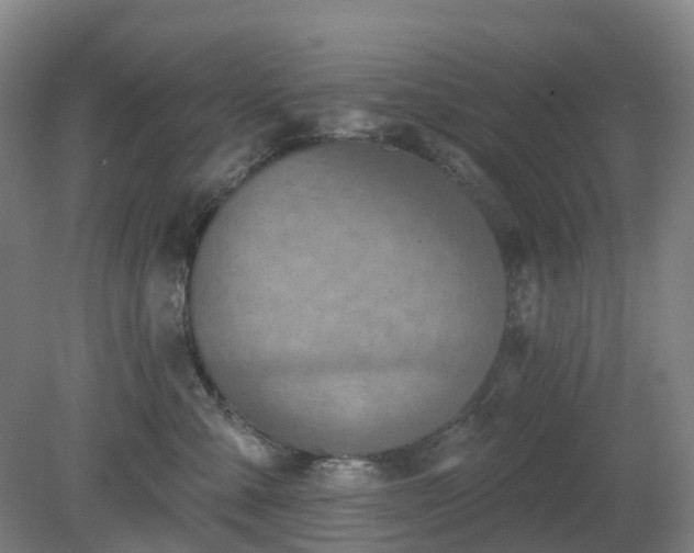 X0000081280427200701181748