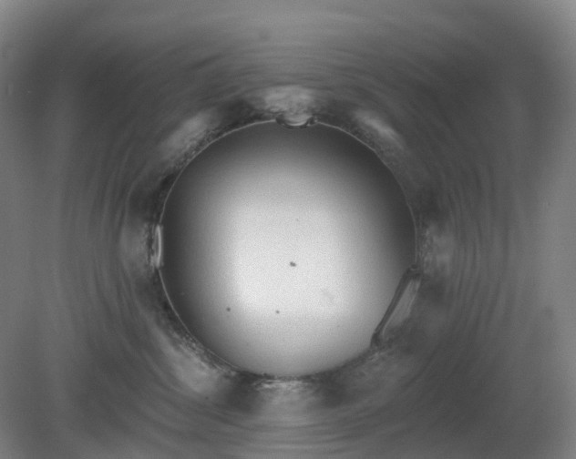 X0000081280428200701181748