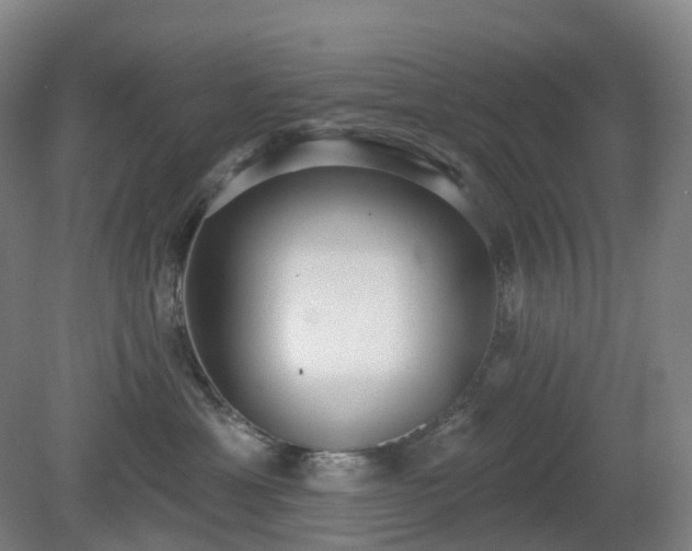 X0000081280429200701181748