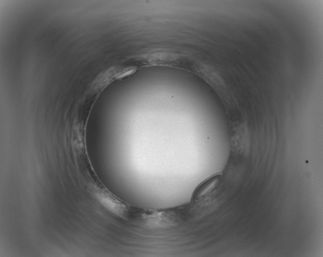 X0000081280430200701181748