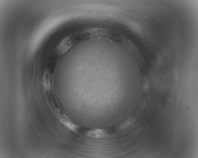 X0000081280431200701181748