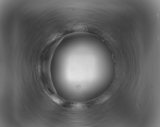 X0000081280432200701181748