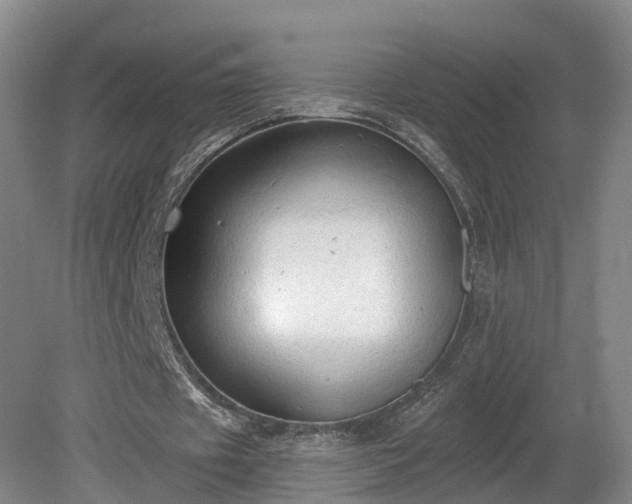 X0000081280433200701181747