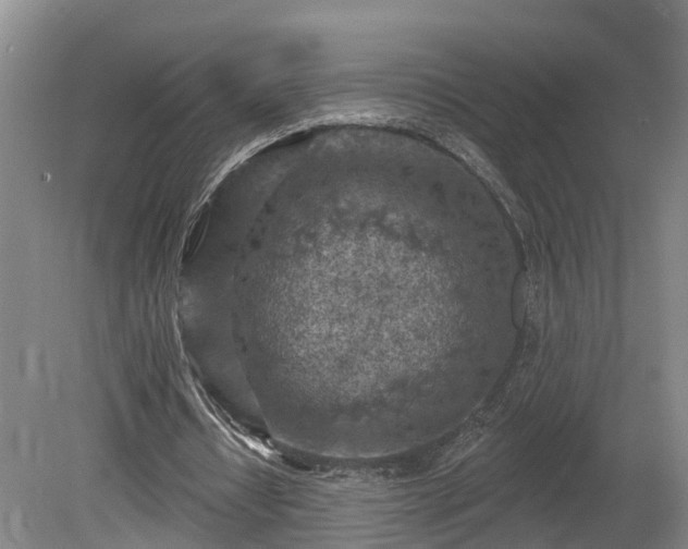 X0000081280434200701181747