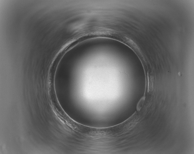 X0000081280435200701181747