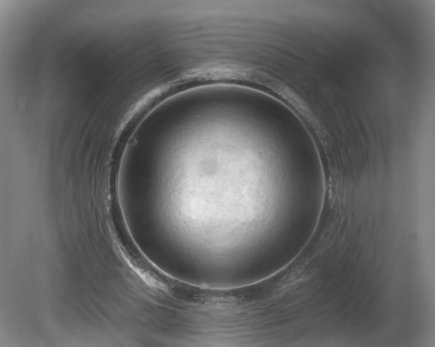 X0000081280438200701181747