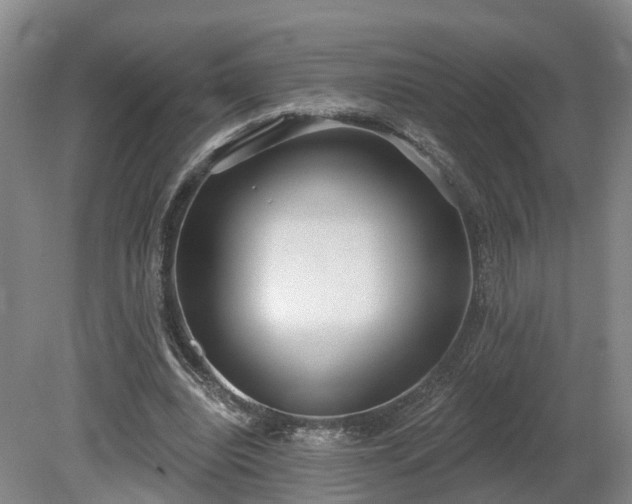 X0000081280440200701181747