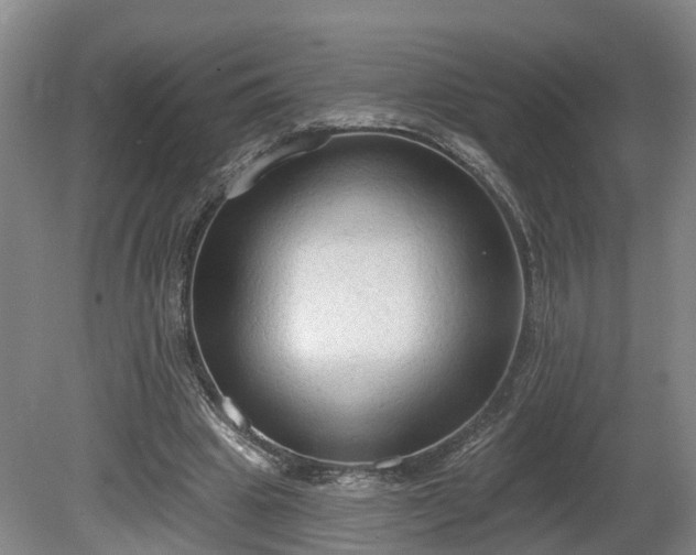 X0000081280441200701181747