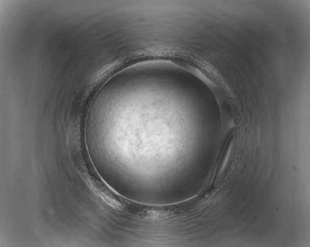 X0000081280442200701181747