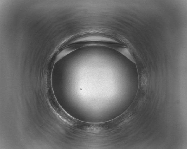 X0000081280444200701181747