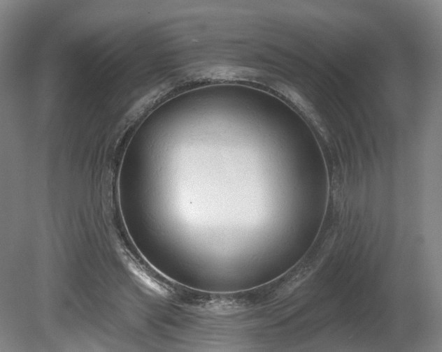 X0000081280445200701181747