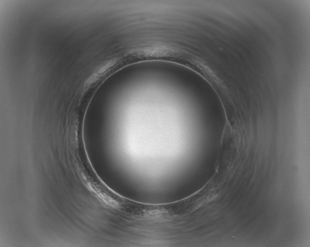 X0000081280446200701181747