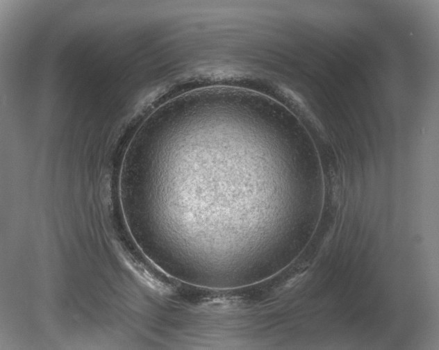 X0000081280447200701181747