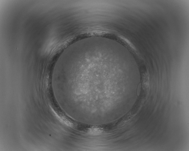 X0000081280451200701181747