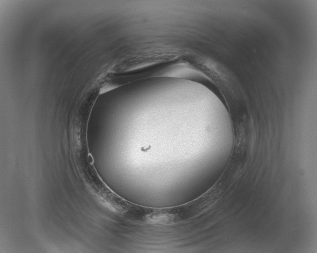 X0000081280452200701181747