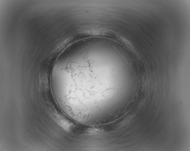 X0000081280453200701181747