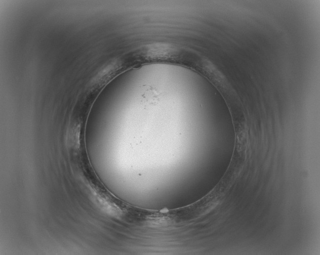 X0000081280454200701181747