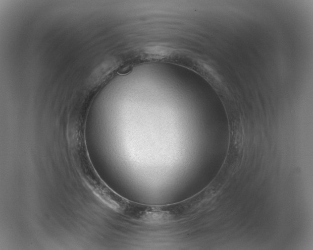 X0000081280455200701181747