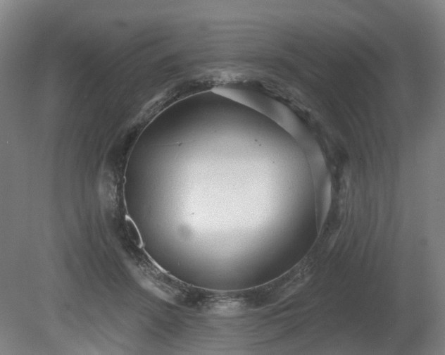 X0000081280456200701181747