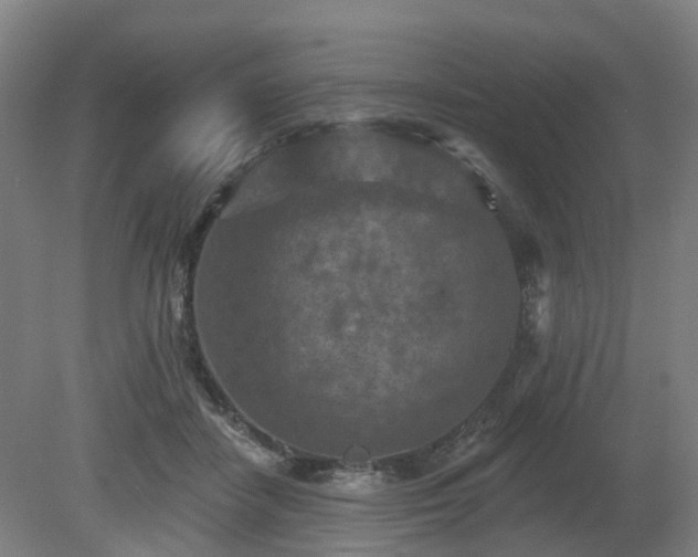 X0000081280458200701181747