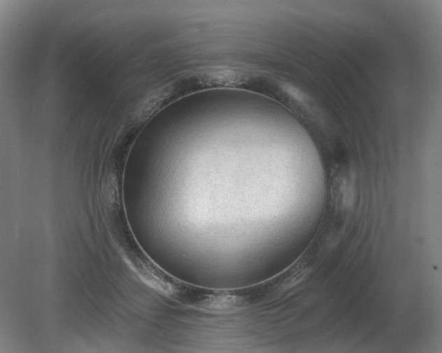 X0000081280459200701181747