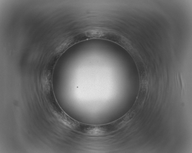 X0000081280460200701181747