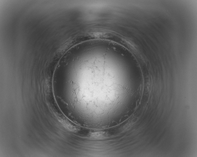 X0000081280461200701181747