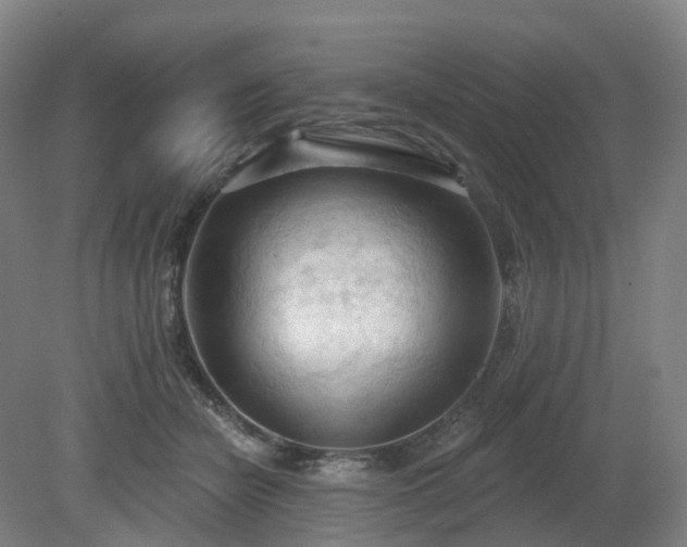 X0000081280462200701181747