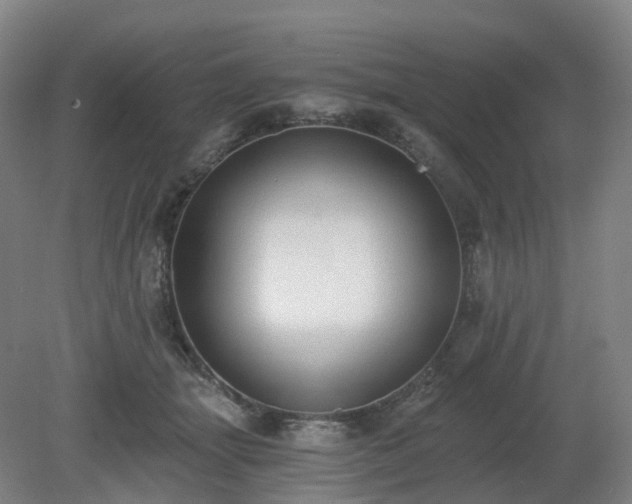 X0000081280463200701181747