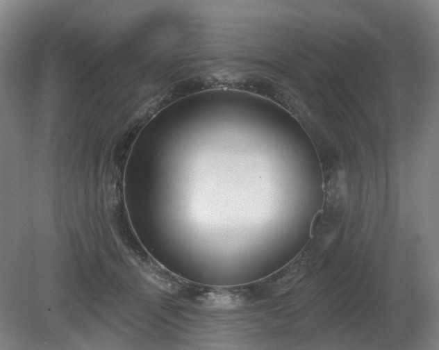 X0000081280464200701181747