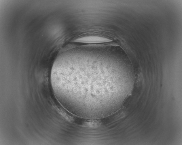 X0000081280466200701181747