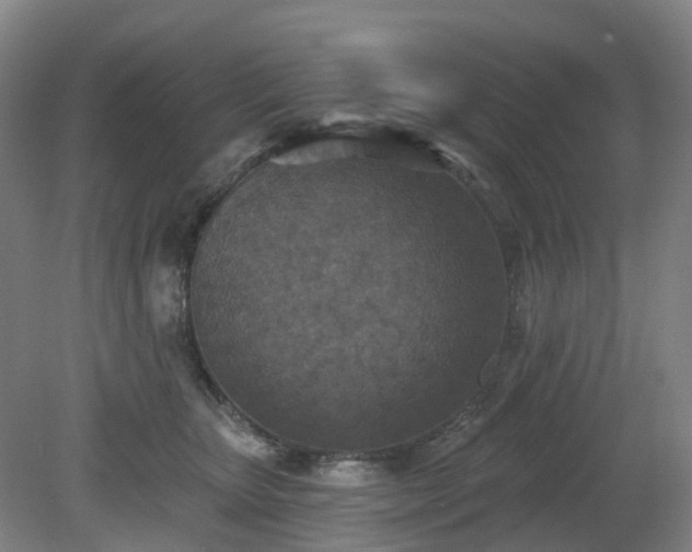 X0000081280467200701181747