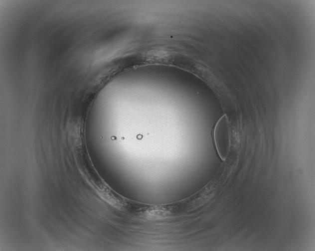 X0000081280468200701181747