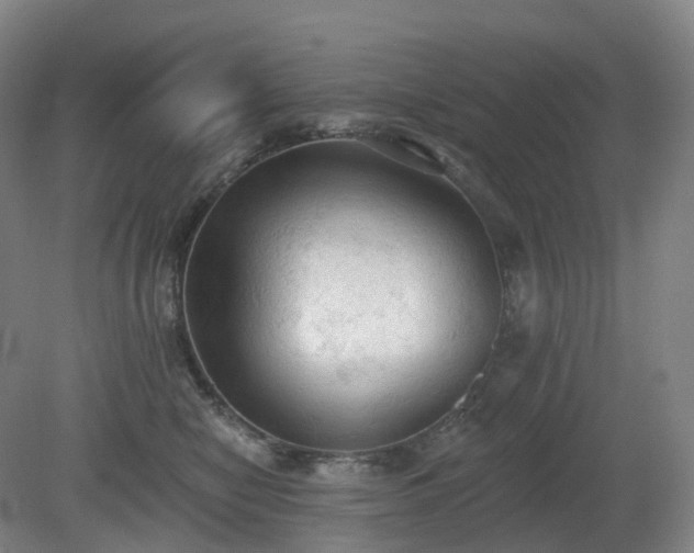 X0000081280470200701181747