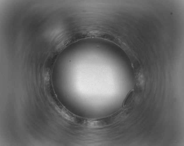 X0000081280472200701181747