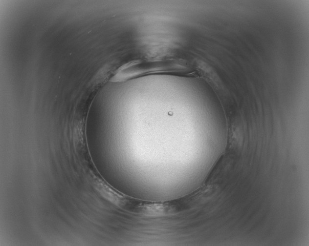 X0000081280473200701181748