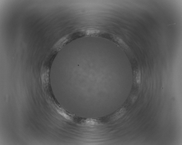 X0000081280475200701181748