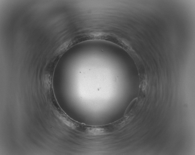 X0000081280476200701181748