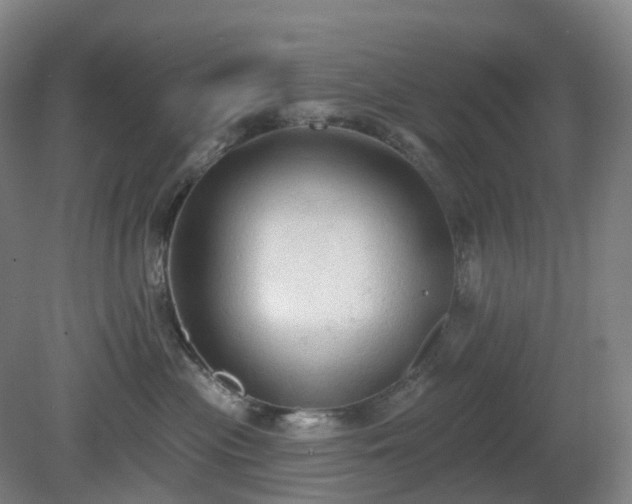 X0000081280477200701181748