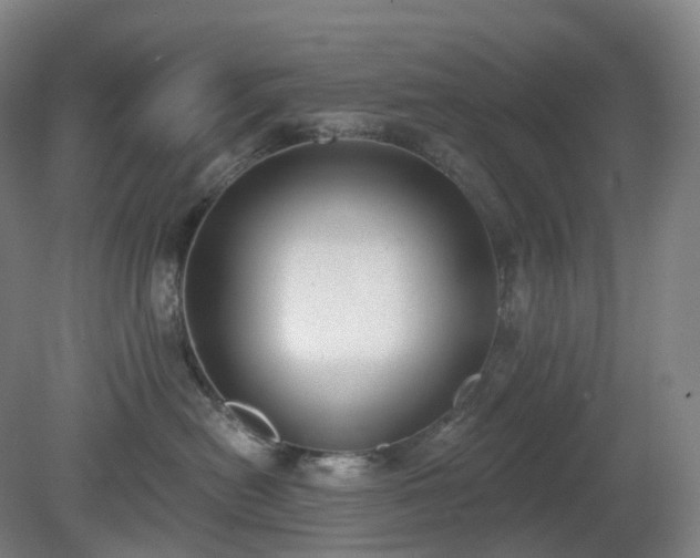 X0000081280478200701181748