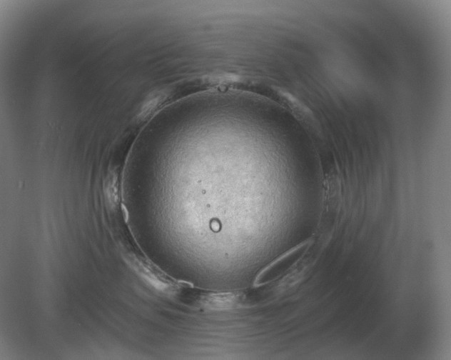 X0000081280479200701181748