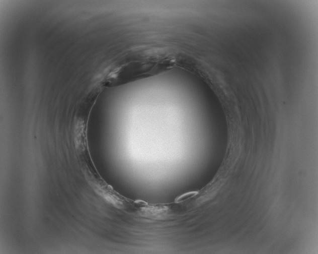 X0000081280480200701181748