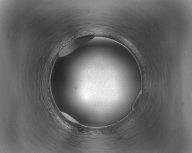 X0000081280481200701181747