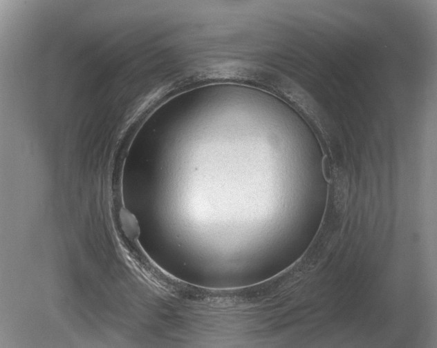 X0000081280482200701181747