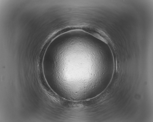 X0000081280483200701181747