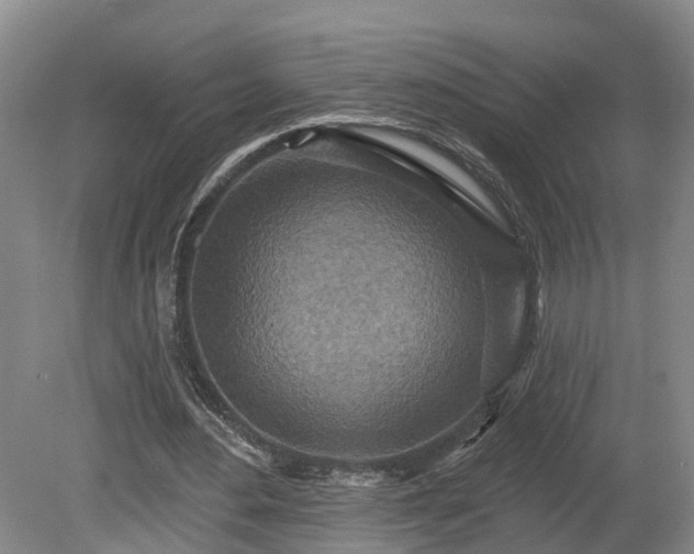 X0000081280484200701181747