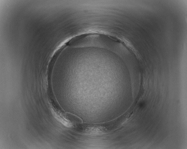 X0000081280488200701181747