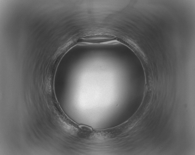 X0000081280489200701181747