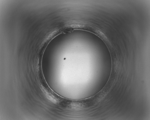 X0000081280490200701181747